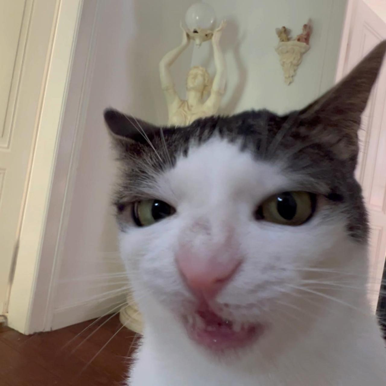 Impact Of Fast Fashion On The Environment Explained